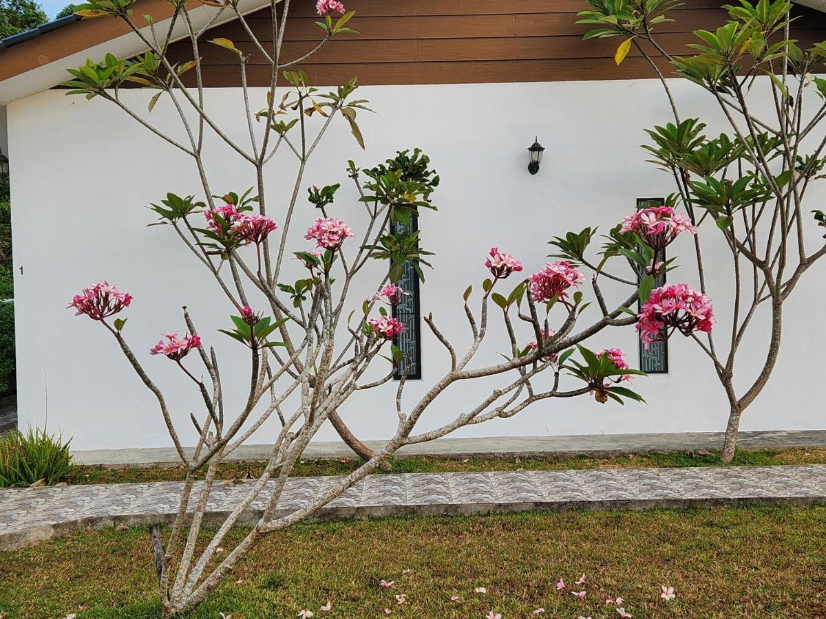 Halcyon Days @ Langkawi Apartment Pantai Cenang  Exterior photo